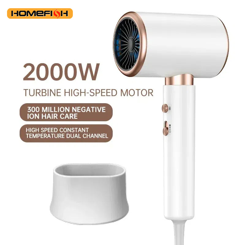 Ionic Professional Hair Dryer with Hot & Cold Air