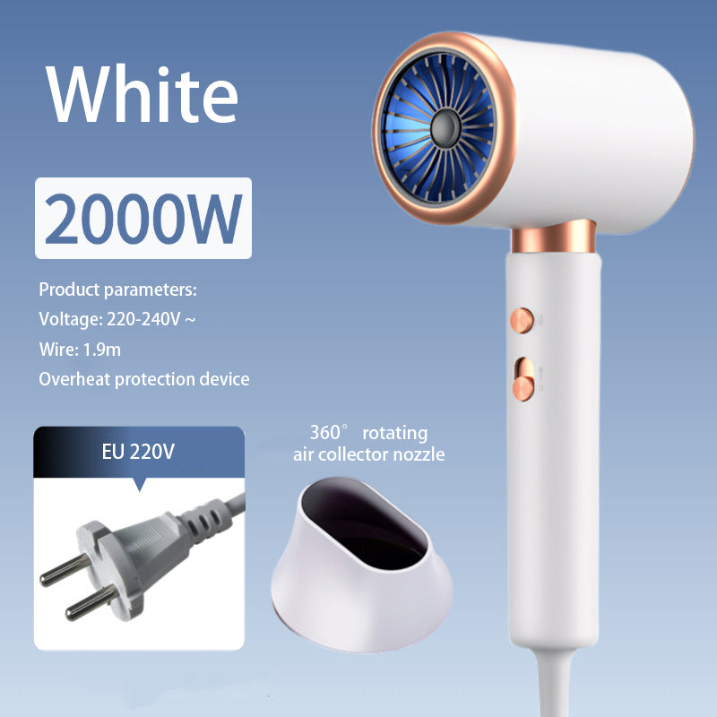 Ionic Professional Hair Dryer with Hot & Cold Air