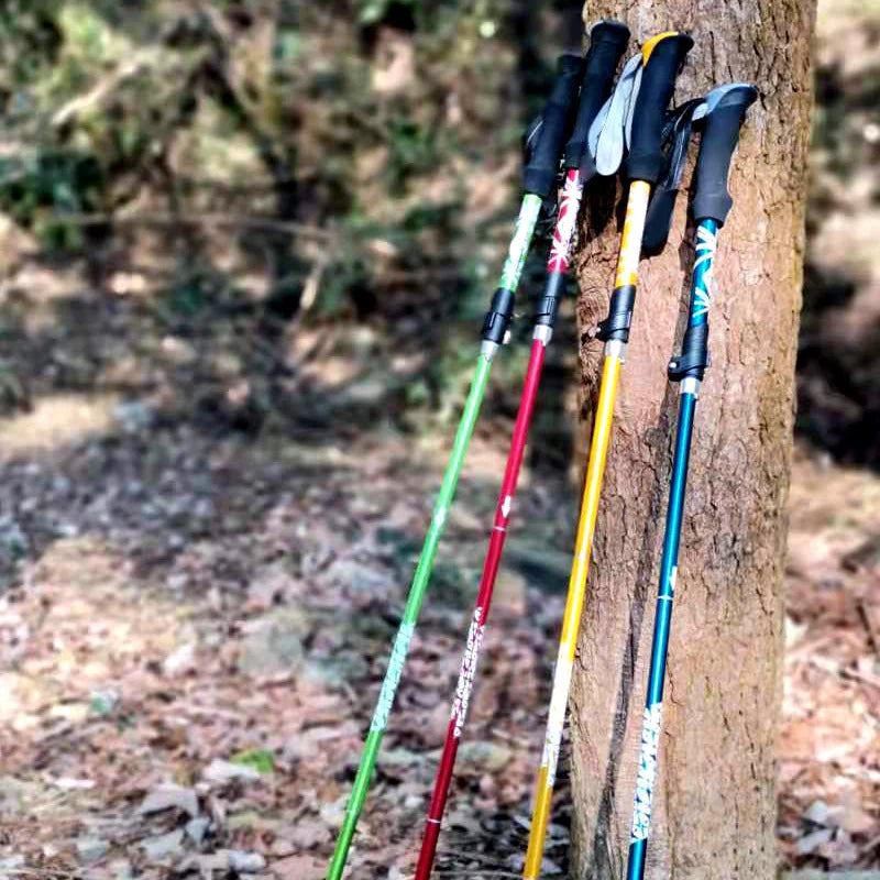 Trekking Pole Walking Hiking Stick Telescopic Collapsible into 5 sections